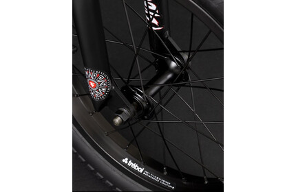 FLY-BIKES Neo 16 BMX Bike matt-black