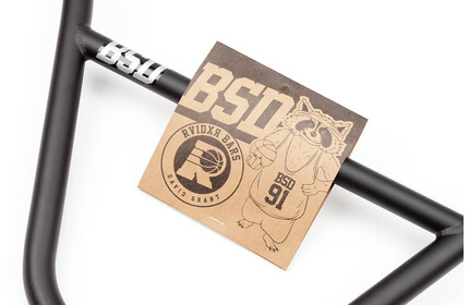 BSD Raider Bar flat-raw 10 (22,2mm Bar-Clamp)