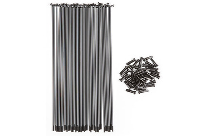 BSD Butted Stainless Steel Spokes (40 Pieces) black|black 184mm