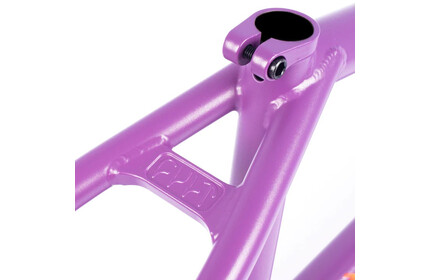 CULT 2 Short IC Panza Frame purps 21TT