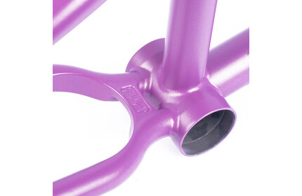 CULT 2 Short IC Panza Frame purps 21TT