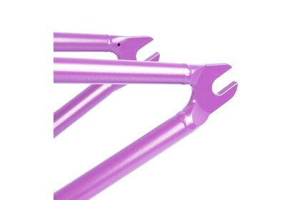 CULT 2 Short IC Panza Frame purps 21TT