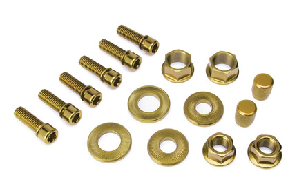 SALT Nuts & Bolt Kit gold