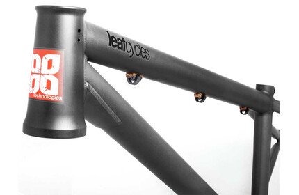 LEAFCYCLES Ruler Pro Frame phosphated-raw 22.7TT