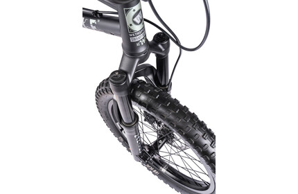 WETHEPEOPLE Swamp Master BMX/Slope/Downhill Bike matt-black 21.5TT
