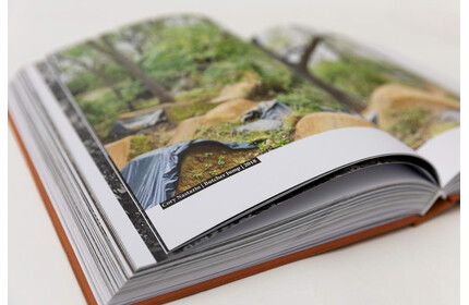 30 Years of Posh Woods Book