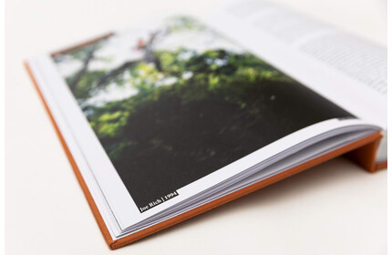 30 Years of Posh Woods Book