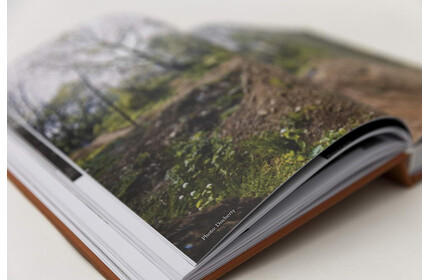 30 Years of Posh Woods Book